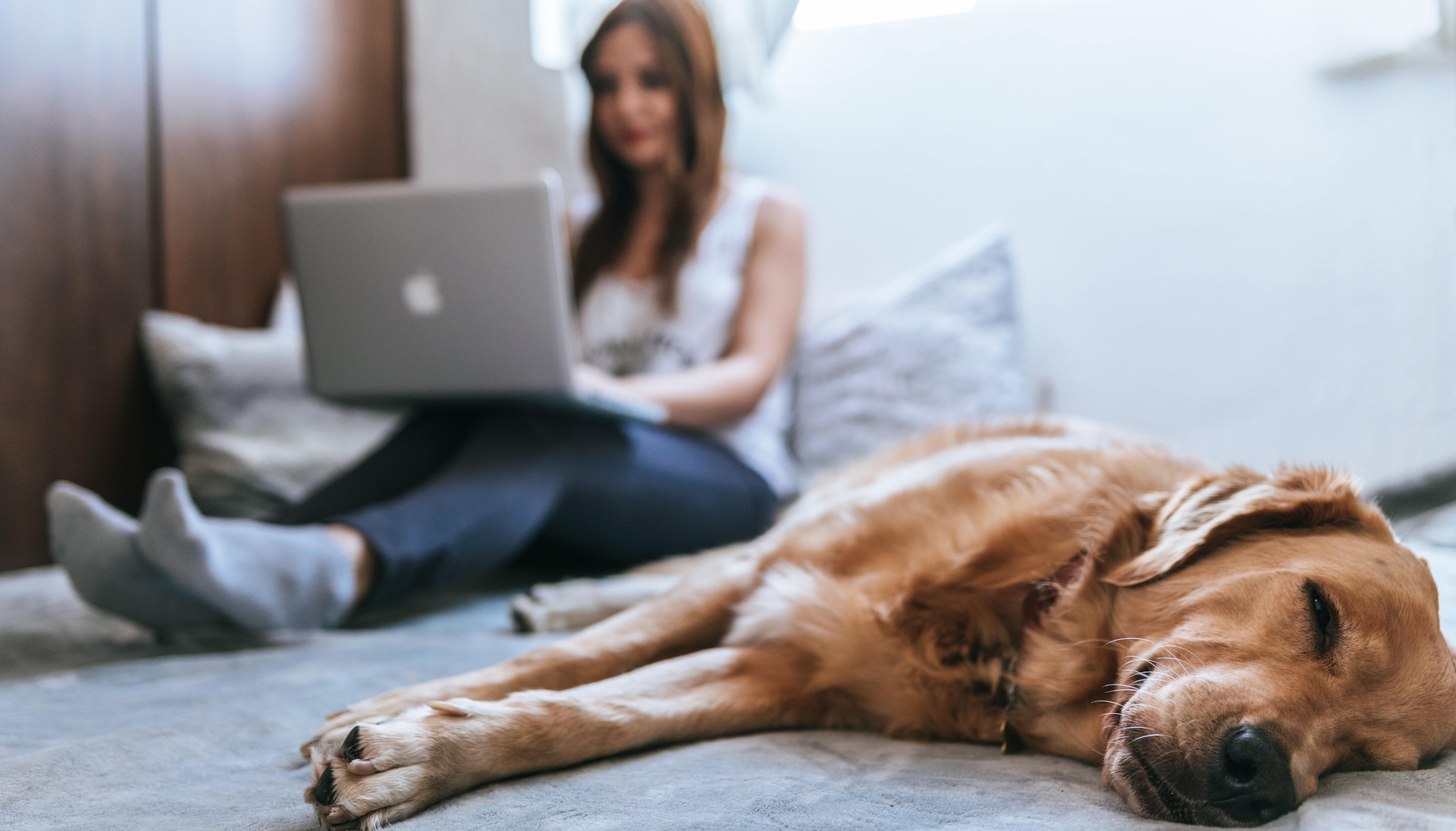 How-Homeowners-are-Spending