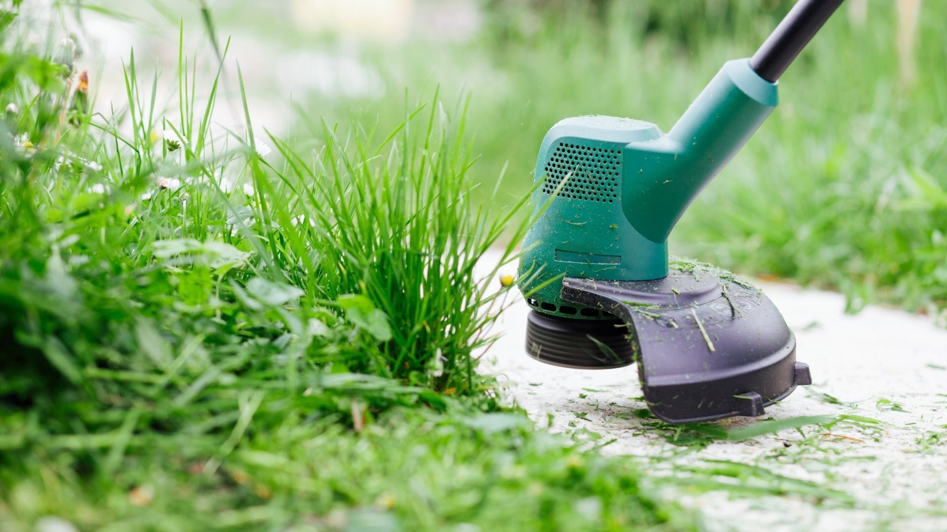 ECHO, Home Depot, and the Shifting Balance of the OPE Market